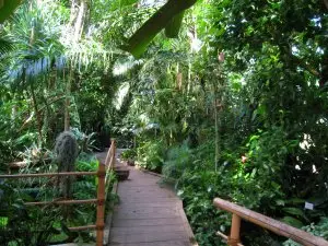 Der Botanische Garten in Würzburg