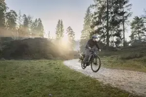 ein Mann fährt durch einen Park auf einem Fahrrad