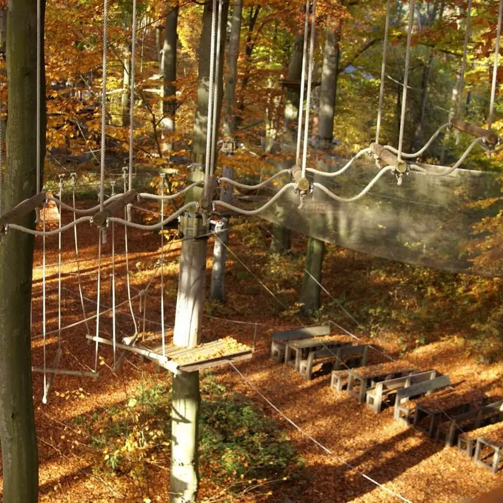 Kletterstationen zwischen den Bäumen im Kletterwald Mannheim
