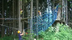 Kletterwald Bamberg: Das ultimative Outdoor-Abenteuer für Deinen Junggesellenabschied