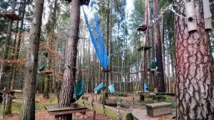 Kletterwald Bamberg: Das ultimative Outdoor-Abenteuer für Deinen Junggesellenabschied