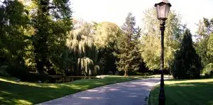 ein geteerter Weg durch eine Parkanlage in Würzburg