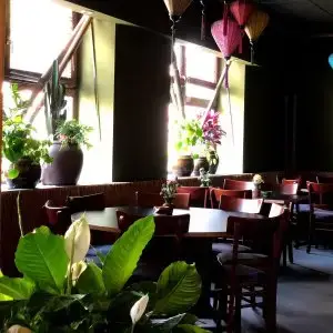 Restaurantinterieur mit Holzmöbeln und Fensterpflanzen im Sonnenlicht.
