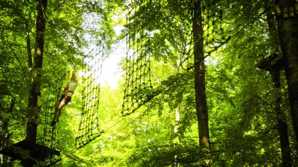 Kletternetze zwischen 2 Bäumen im Kletterwald Ulm
